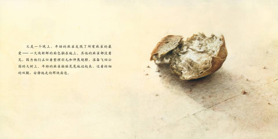 断喙鸟 (10),绘本,绘本故事,绘本阅读,故事书,童书,图画书,课外阅读